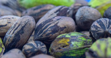 Ceviz veya pekan (Carya illinoinensis) meyveleri. Egzotik meyve. Kaçık. Egzotik yemekler. Fındık bademleri. 