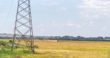 Sulamalı pirinç tarlası. Geçim ve hassas tarım. Çiftlik alanı. Pirinç hasadı olgunlaşma aşamasında. Güney Brezilya 'da kırsal alan.