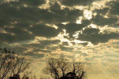Pampa Biome bölgesinde akşam yemeği. Güney Brezilya 'da öğleden sonra. Dramatik bir gökyüzü. Renkler ve renkler. Güneş batıyor ve öğleden sonra geç saatte. Şiir ve sihir. Huzur ve sonsuzluk hissi. Huzur ve sakinlik. Kırsal.