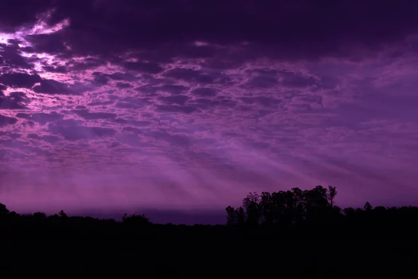 Kvällen Regionen Pampa Biome Sen Eftermiddag Södra Brasilien Dramatisk Himmel — Stockfoto