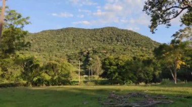 Nome: Güney Brezilya 'daki Serra Geral ve Atlantic Forest Reserve manzarası.