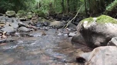 Haziran şenlikleri için yiyecek. Haziran şenliklerinin tipik mutfağı Haziran 'da gerçekleşen So Joo, Santo Antnio ve So Pedro' ya hürmet şenlikleri için yapılan yemeklerden oluşur.