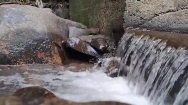 Haziran şenlikleri için yiyecek. Haziran şenliklerinin tipik mutfağı Haziran 'da gerçekleşen So Joo, Santo Antnio ve So Pedro' ya hürmet şenlikleri için yapılan yemeklerden oluşur.