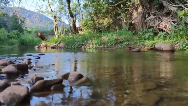 브라질에서는 담수가 흐르고 있습니다 실베이라 마틴스 내륙에 강둑을 바람을 불었다 — 비디오