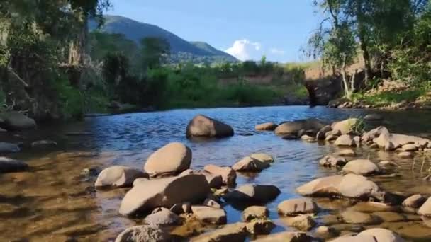 Édesvízi Patak Brazíliában Ventro Egy Kis Folyó Partjára Vizeire Fúj — Stock videók