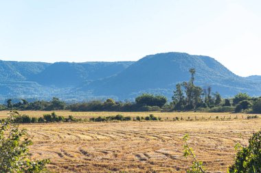 Kırsal alan. Brezilya 'nın güneyindeki Serra Geral Dağları. Çiftlik alanı. Çiftlik alanları.