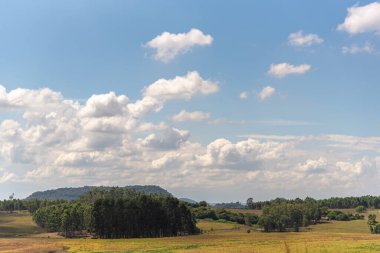 Kırsal alan. Tarım alanları. Çiftlik alanı ve tahıl üretimi. Mavi gökyüzü. Cumulonimbus bulutları. Güneyde Brezilya, Arjantin ve Uruguay sınırında Pampa biyoloji bölgesi.