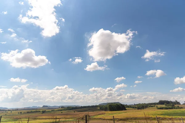 Rural Landscape Agriculture Fields Farm Area Grain Production Blue Sky — Stock Photo, Image
