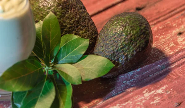Avocado Cream Dessert Detox Antioxidant Diet Avocado Fruits Leaves Reddish — Stock Photo, Image