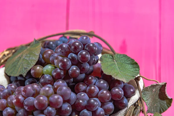 Druiven Een Rieten Mand Roze Achtergrond Vruchten Voor Verse Consumptie — Stockfoto