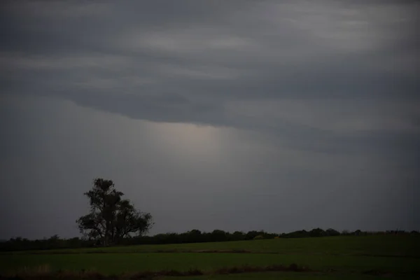 Felder Der Landwirtschaftlichen Produktion Morgendämmerung Der Pampa Südbrasilien Landwirtschaft Und — Stockfoto