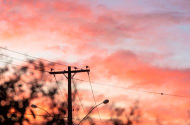Pembe gökyüzü ve şafak. Şehir güç iletim ağı. Elektrik altyapısı. Sonbahar sabahında şehir manzarası. Ampul direkleri ve halka açık imulasyon.