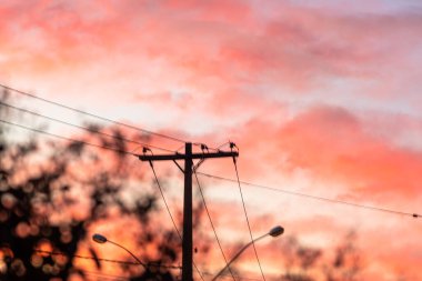 Pembe gökyüzü ve şafak. Şehir güç iletim ağı. Elektrik altyapısı. Sonbahar sabahında şehir manzarası. Ampul direkleri ve halka açık imulasyon.