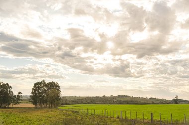 Kırsal alan. Güney Brezilya. Pampa biyoloji bölgesi. Şafak vakti soğuk ve soğuk. Çiftlik bölgesi. Brezilya ve Arjantin sınırı. Tarım üretim alanları.
