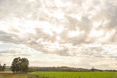 Kırsal alan. Güney Brezilya. Pampa biyoloji bölgesi. Şafak vakti soğuk ve soğuk. Çiftlik bölgesi. Brezilya ve Arjantin sınırı. Tarım üretim alanları.