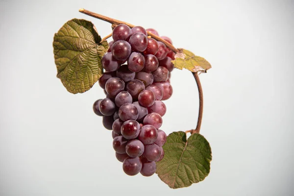 Bunch Red Grape Niagara Grape Variant Pink Grape Niagara Cultivar — Stock Photo, Image
