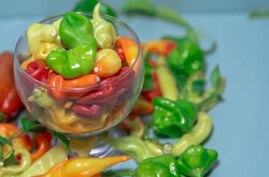 Brezilya biberleri. Sebzeler mavi arka planda. Baharatlar ve baharatlar. Mutfak lezzeti. Brezilya mutfağı. Biberler sindirimi ve düşük kolesterol seviyelerini artırır..