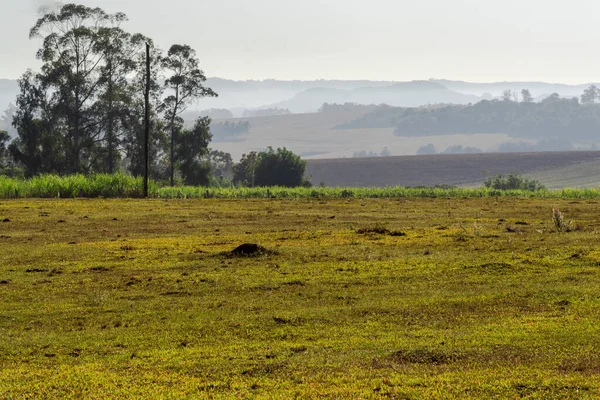 Landskap Pampbiomen Pampas Naturlig Och Betesmark Med Slätter Som Täcks — Stockfoto