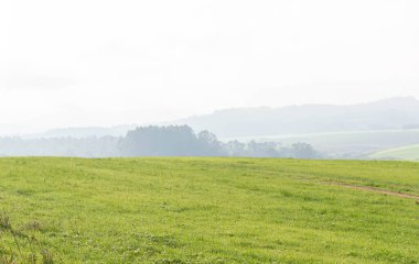 Tarım üretim alanları. Pampa biyomunda şafak vakti. Güney Brezilya. Tarım ve hayvancılık üretim alanı. Tarım üretim çiftlikleri. Kırsal arazi ve tarım sektörü.