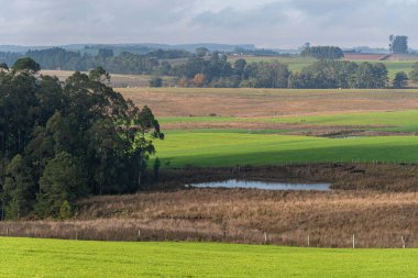 Tarım üretim alanları. Pampa biyomunda şafak vakti. Güney Brezilya. Tarım ve hayvancılık üretim alanı. Tarım üretim çiftlikleri. Kırsal arazi ve tarım sektörü.