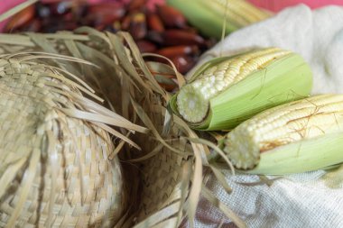 Tipik mutfak yemekleri. Koçanda çam ve mısır. So Joo festivalleri için dekorasyon ve yemek. Brezilya 'da popüler festivaller. Ev yapımı tatlar. Hominy. Yeşil mısır. Folklor ve şenlikler