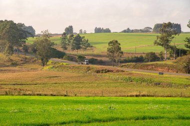 Rio Grande do Sul eyaletinin Pampas bölgesindeki tarlalar. Güney Brezilya. Pampa biyolojisi. Şafakta sisli kırsal alan. Kırsal alan ve tarımsal sömürü. Çayırlık alanlar.