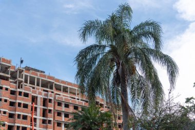 Şehir mimarisi. Mimari tarzda. Güney Brezilya şehri. Şehir ve nüfus merkezi. Şehirler. Kentleşmiş manzara. Evler. - Evlerin mimarisi. Binalar.