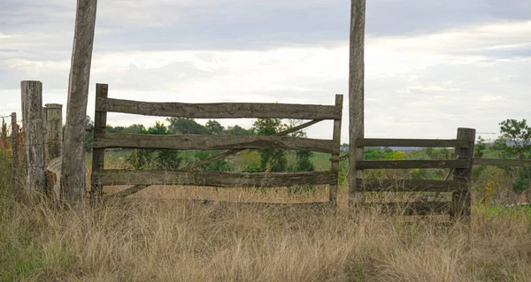 Kırsal Alanlar Pampa Biyomu Bölgesindeki Tarım Üretim Bölgeleri Brezilya Uruguay — Stok fotoğraf