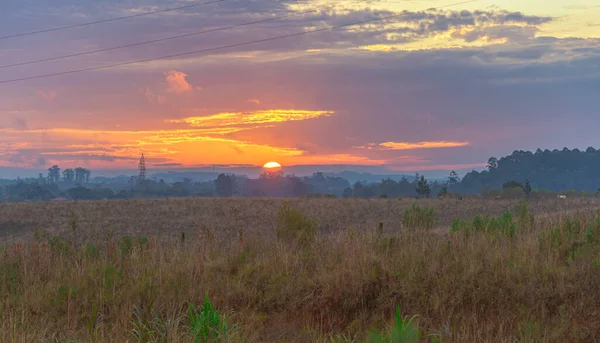 Puesta Sol Pampa Biome Fields Sur América Latina Una Bandada — Foto de Stock