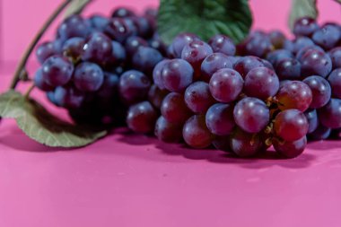 Bir demet üzüm. Pembe üzüm, aroması ve lezzet özelliklerinden dolayı, şarap yapımında yaygın olarak hammadde kaynağı olarak kullanılır. Meyve aromalı ve tatlı.