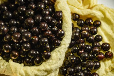 Jabuticaba, Brezilya 'nın Atlantik Ormanı' na özgü bir meyvesidir. Biraz kalori ve karbonhidrat içerir ve C, E, magnezyum, fosfor ve çinko gibi besinler açısından zengindir. Seçici odak içinde Jaboticabas.
