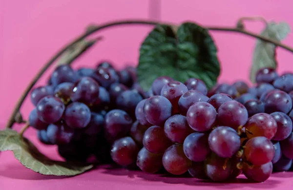 一串桌上葡萄 品红葡萄因其香气和风味特点 被广泛应用于酿酒原料中 水果味道鲜美 — 图库照片