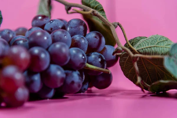 Ett Gäng Bordsdruvor Rosa Druva Som Ofta Används Som Råvara — Stockfoto