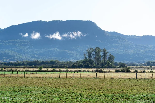 Serra Mata Atlntica Considerado Uno Los Biomas Más Ricos Del — Foto de Stock