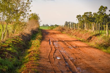 Çiftlik bölgesindeki toprak yol. Toprak yol genellikle üretimin akışı sırasında bir ürünün geçtiği ilk bölümdür. Mesafe ve özgürlük hissi. Ufuk ve yollar.
