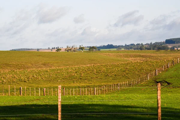Rural area landscape. Farms area. Border of Brazil and Uruguay. Pampa biome fields. Typical nature of the Rio Grande do Sul State campaign region.