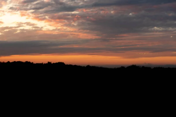 自然の中で午後遅くまで 平和と静けさを感じている 静かな瞬間 田園風景と夜の時間 現場のシルエット 一日の終わりにパンパバイオームフィールド — ストック写真