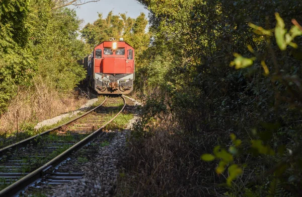 Locomotora Curva Las Vías Tren Hierro Línea Tren Sur Brasil — Foto de Stock