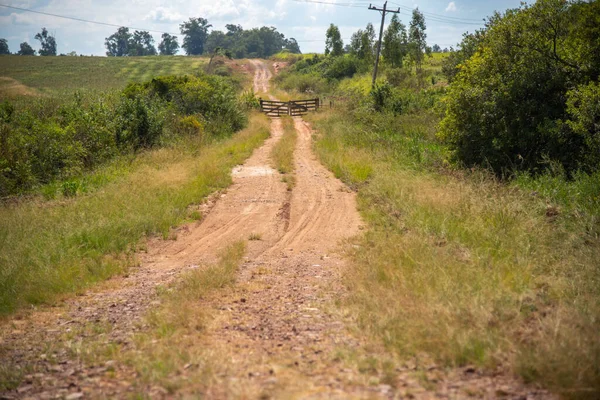 Camino Tierra Interior Brasil Una Puerta Medio Carretera Camino Hacia — Foto de Stock