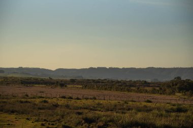 Kırsal alan. Pampa biyolojisindeki genel alanlar. Brezilya ve Uruguay sınırı. Tarımsal üretim ve çiftlik hayvanı keşfi alanı. Brezilya 'da Rio Grande do Sul Eyaleti.