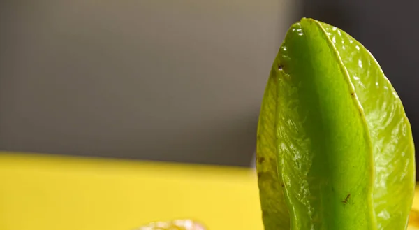 Carambolafrukter Averrhoa Carambola Stjärnfrukten Frukten Stjärnfrukten Den Har Söt Och — Stockfoto