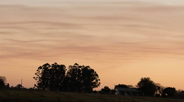 Tarde Tarde Atardecer Áreas Agrícolas Bioma Pampa Sur Brasil Paisaje — Foto de Stock