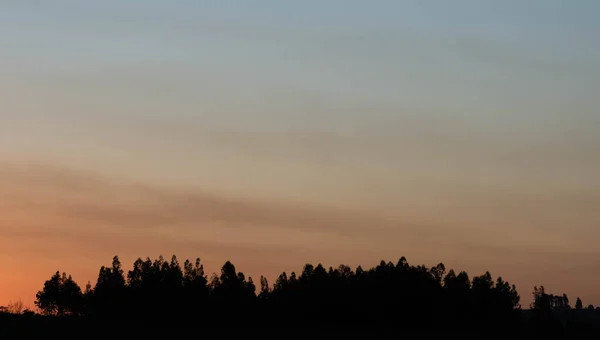 Sent Eftermiddagen Dusch Jordbruksområden Pampa Biome Södra Brasilien Landsbygd Interiör — Stockfoto