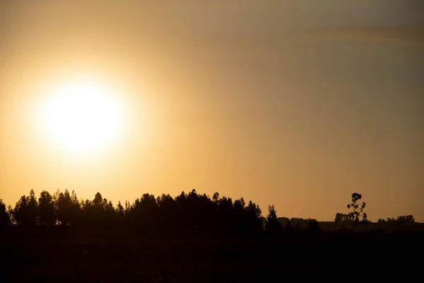 Landsbygd Jordbruksområden Södra Brasilien Fält Pampbiomen Jordbruksexploateringsregion Utanför Tätorter Djuruppfödningsfält — Stockfoto