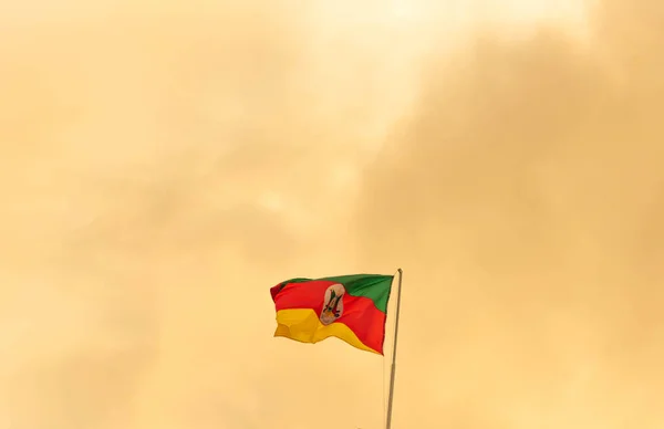 Vlajka Brazilského Státu Rio Grande Sul Symbol Gaucha Zvednutý Stěžeň — Stock fotografie