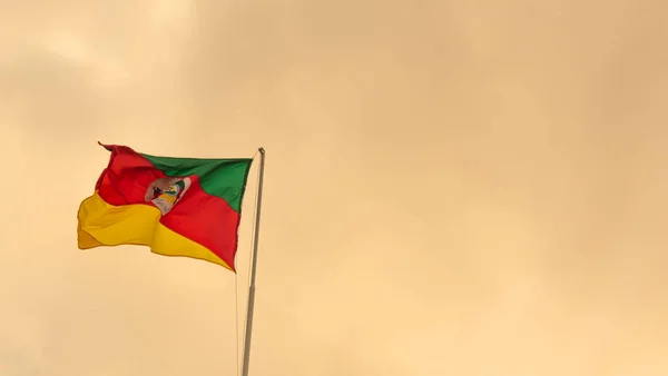 Brezilya 'nın Rio Grande do Sul eyaletinin bayrağı. Gaucho sembolü. Direğe asıldı. Bayrak klasik olarak bağımsız bir devleti temsil eden görsel sembol olarak tanımlanır..