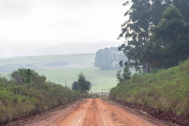 Ri Eyaleti 'nin iç kesimlerinde toprak yol ve kırsal alan