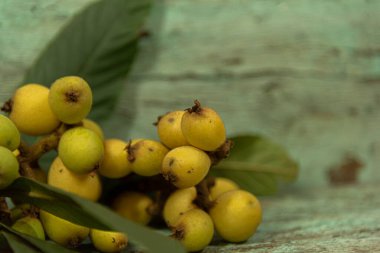 Medlar meyve (Eriobotrya japonica). Kökeni Çin 'den gelen çok besleyici bir meyve. Medlar ağacı, yuvarlak ve bol kaplama ve kısa bir gövdeye sahip olarak 10 metreye kadar ulaşabilir..
