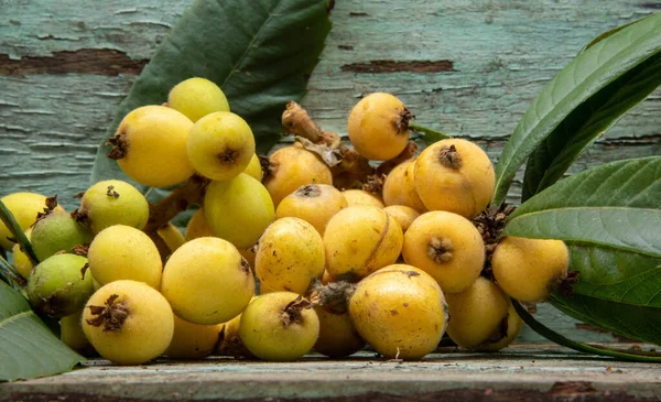 Yellow Medlar Fruits Eriobotrya Japonica Plant Botanical Family Rosaceae Origin — Stock Photo, Image