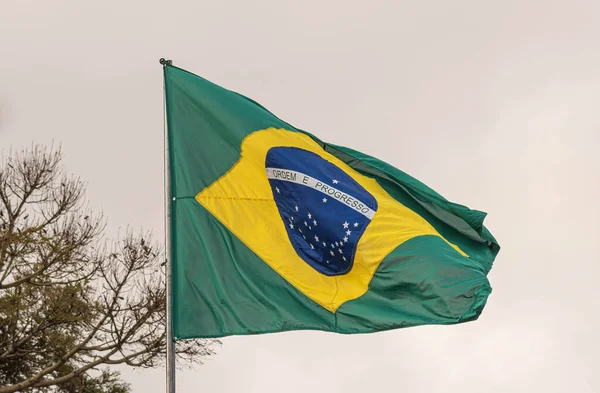 Brazil Flag Pavilion Motherland Symbol Flag Brazil Composed Green Base — Stock Photo, Image
